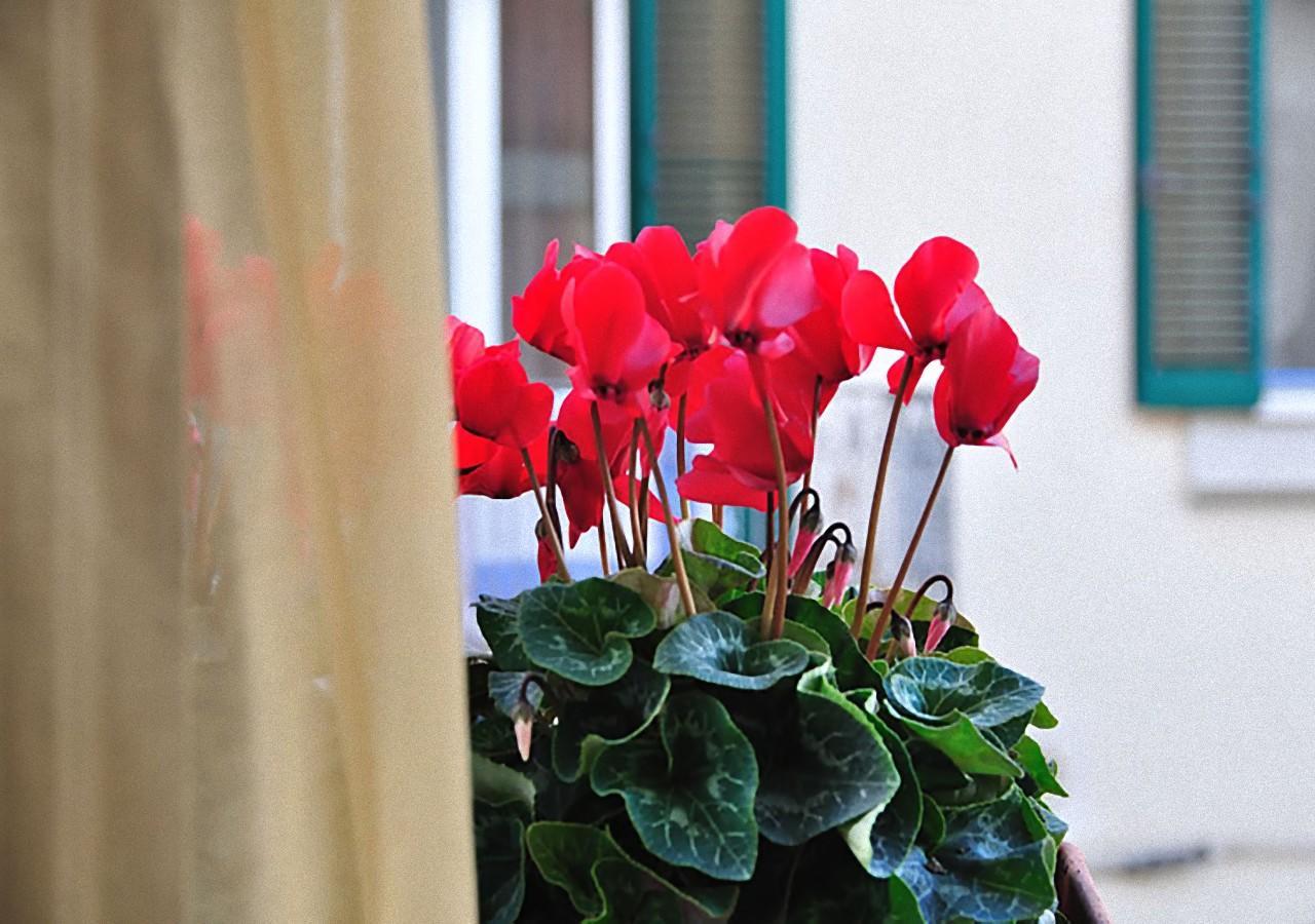 Donna Eleonora Residence Matera Zewnętrze zdjęcie